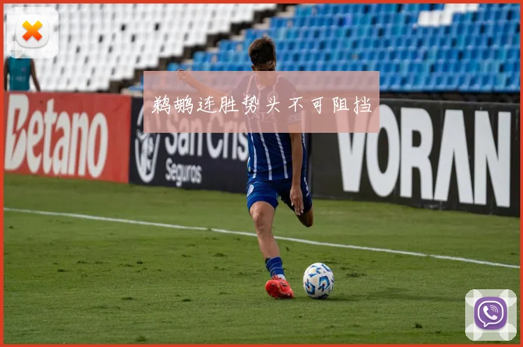 鹈鹕连胜势头不可阻挡