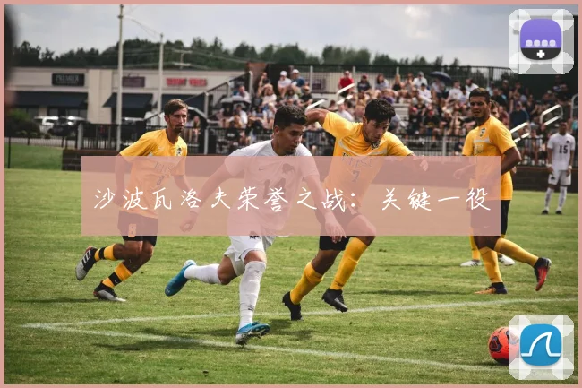 沙波瓦洛夫荣誉之战:关键一役