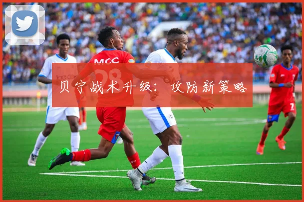 贝宁战术升级：攻防新策略