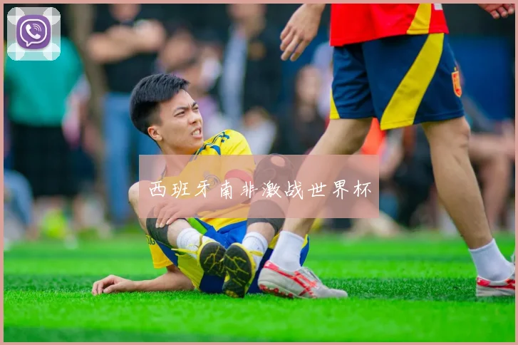 西班牙南非激战世界杯
