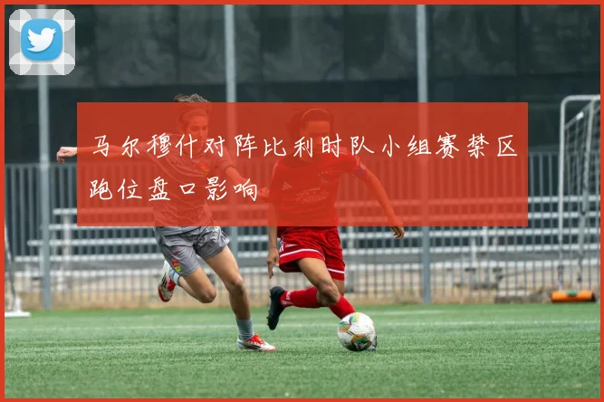 马尔穆什对阵比利时队小组赛禁区跑位盘口影响