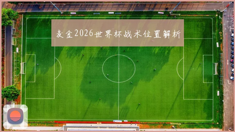 麦金2026世界杯战术位置解析