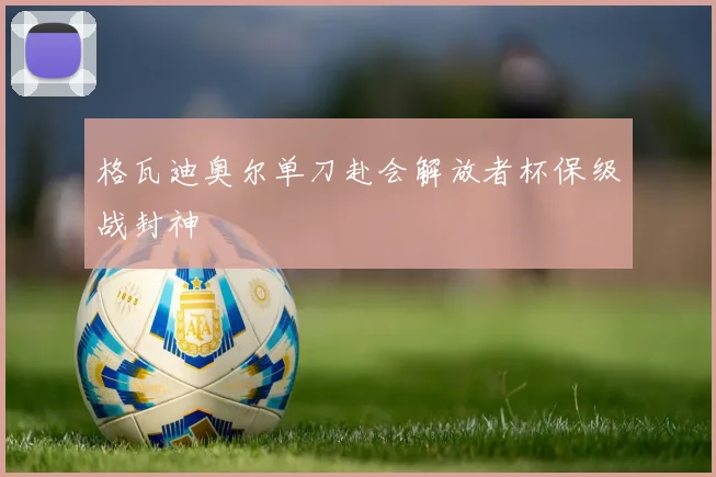格瓦迪奥尔单刀赴会解放者杯保级战封神