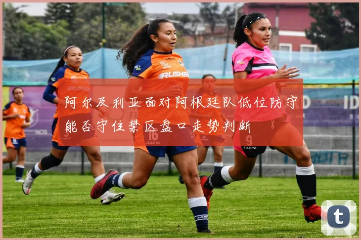 阿尔及利亚面对阿根廷队低位防守能否守住禁区盘口走势判断