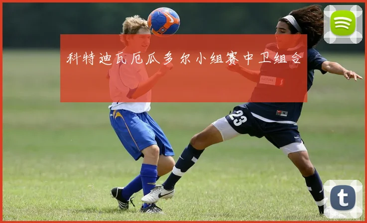科特迪瓦厄瓜多尔小组赛中卫组合