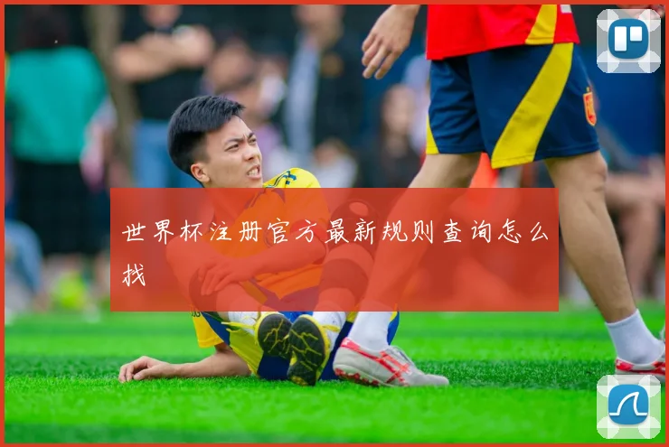 世界杯注册官方最新规则查询怎么找