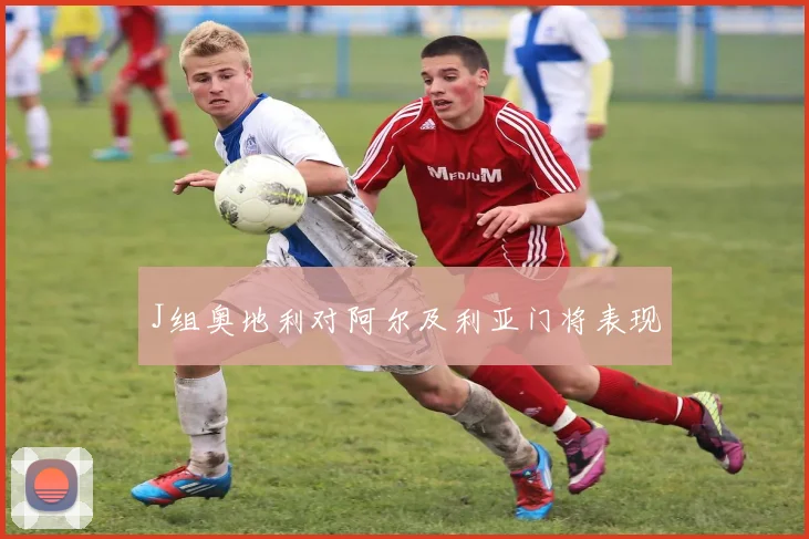 J组奥地利对阿尔及利亚门将表现